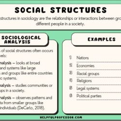 How are social scientists like detectives