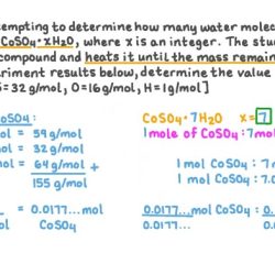 Student exploration weight and mass