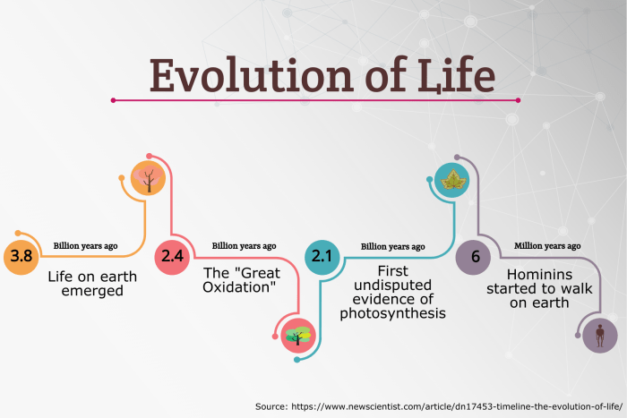 Evolution of new life quick check