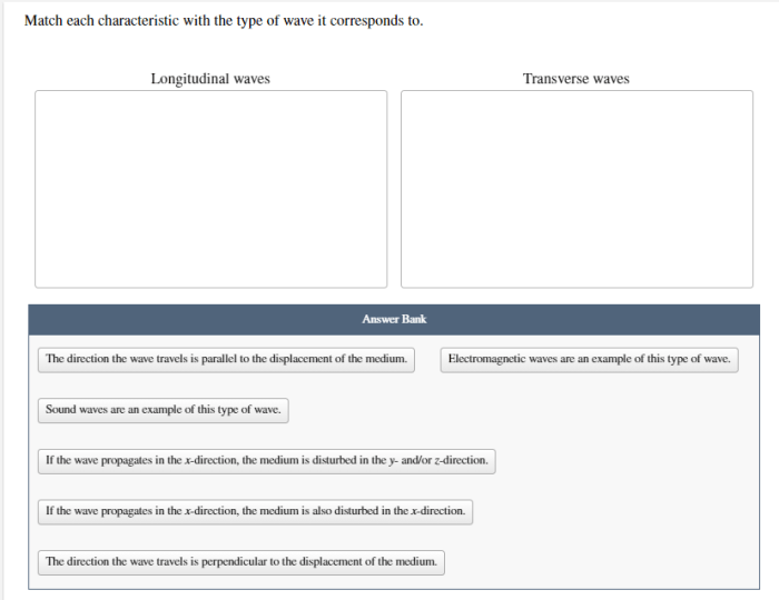 Correct characteristic match each plant group