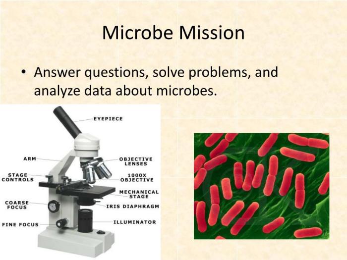 Microbe mission science olympiad cheat sheet